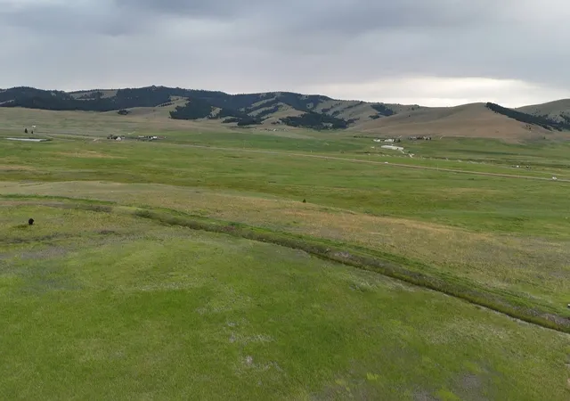 Homes for sale in Philipsburg, MT | Nhn Meadow View, Philipsburg, MT 59858 | MLS# 30074772