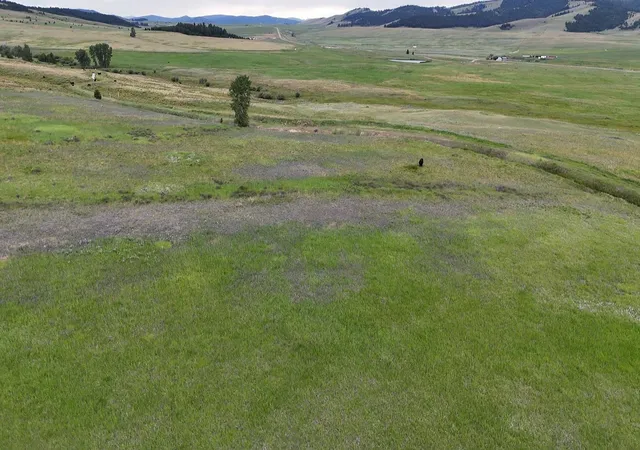 Homes for sale in Philipsburg, MT | Nhn Meadow View, Philipsburg, MT 59858 | MLS# 30074772