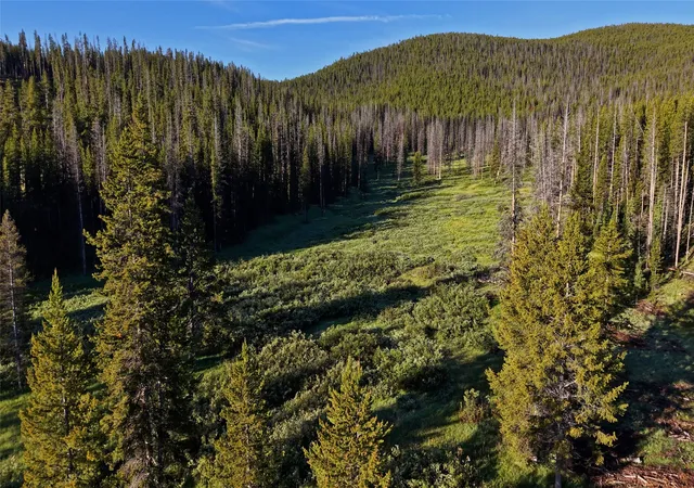 Photo 2 of Land for sale at Tbd Highway 43, Wisdom, MT 59761 | MLS# 30074785 | Listing updated on 2026-08-03