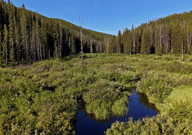 Photo 4 of Land for sale at Tbd Highway 43, Wisdom, MT 59761 | MLS# 30074785 | Listing updated on 2026-08-03