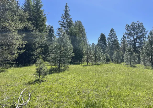 Homes for sale in Trout Creek, MT | Nhn S Shore Dr, Trout Creek, MT 59874 | MLS# 30074813