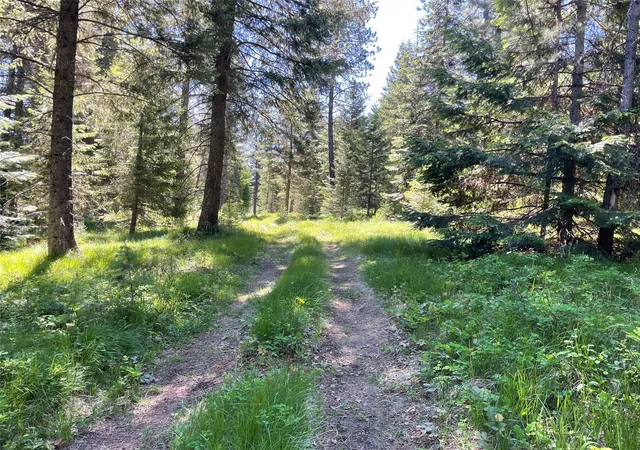 Homes for sale in Trout Creek, MT | Nhn S Shore Dr, Trout Creek, MT 59874 | MLS# 30074813