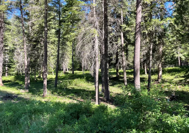 Homes for sale in Trout Creek, MT | Nhn S Shore Dr, Trout Creek, MT 59874 | MLS# 30074813