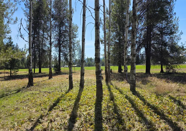 3rd image of 143 Horizon Dr, Libby, MT 59923 | MLS# 30074688