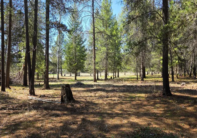 5th image of 143 Horizon Dr, Libby, MT 59923 | MLS# 30074688