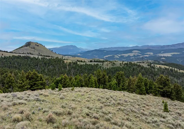 Homes for sale in Basin, MT | Bald Hl Lode, Basin, MT 59631 | MLS# 30074084