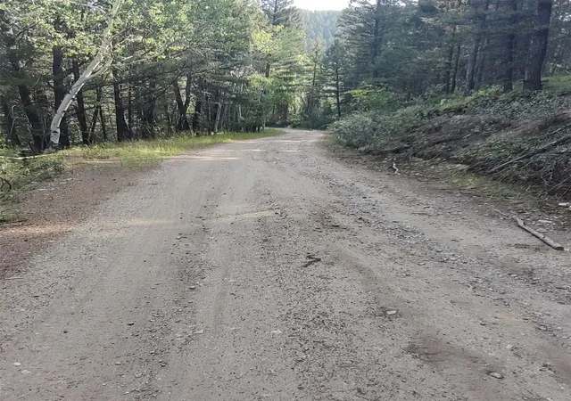 Homes for sale in Philipsburg, MT | Nkn Gonq Road/contract Mill Rd, Philipsburg, MT 59858 | MLS# 30074851