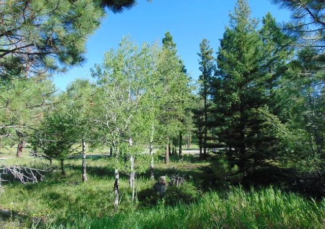 1st image of 4615 Abe Lincoln Rd, Lincoln, MT 59639 | MLS# 30074886