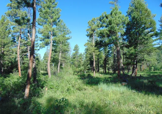 2nd image of 4615 Abe Lincoln Rd, Lincoln, MT 59639 | MLS# 30074886
