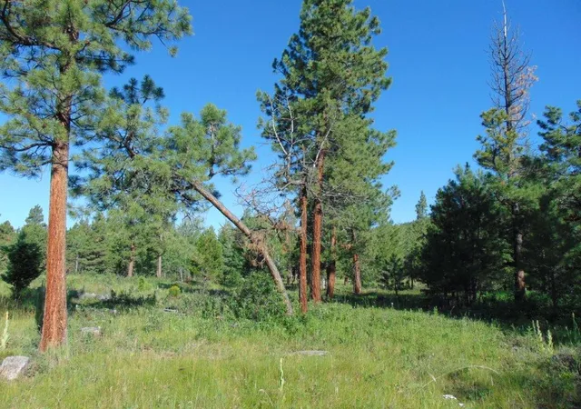 5th image of 4615 Abe Lincoln Rd, Lincoln, MT 59639 | MLS# 30074886