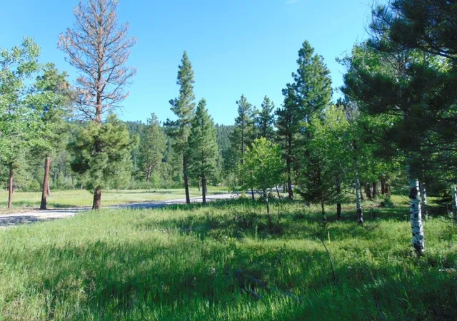 92nd image of 4615 Abe Lincoln Rd, Lincoln, MT 59639 | MLS# 30074886