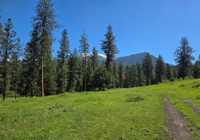 Photo 2 of Land for sale at Nhn Allard Way, Saint Ignatius, MT 59865 | MLS# 30074929 | Listing updated on 2026-08-05
