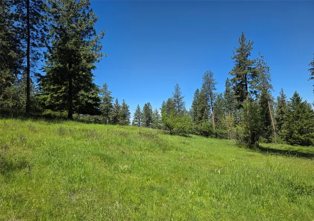 Photo 4 of Land for sale at Nhn Allard Way, Saint Ignatius, MT 59865 | MLS# 30074929 | Listing updated on 2026-08-05