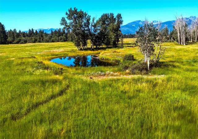 3rd image of 2291 Meridian Rd, Victor, MT 59875 | MLS# 30074512