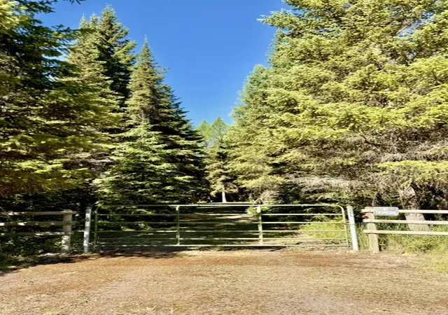 3rd image of 6363 Mt Hwy 83, Condon, MT 59826 | MLS# 30074829