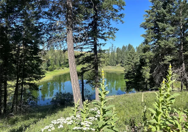 1st image of 196 Belterra Ln, Bigfork, MT 59911 | MLS# 30074786