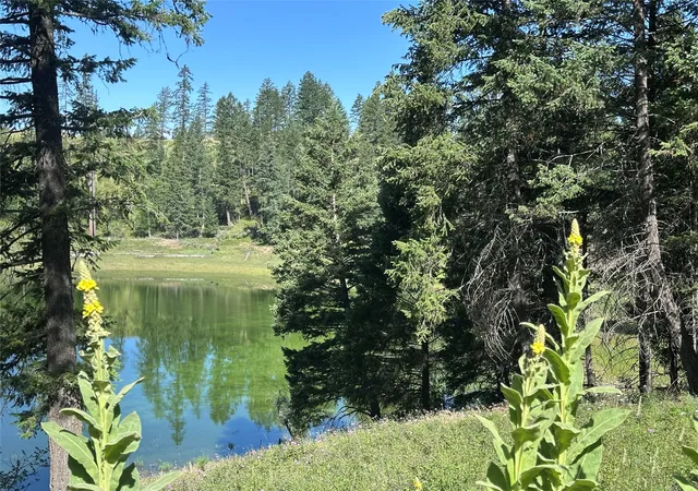 2nd image of 196 Belterra Ln, Bigfork, MT 59911 | MLS# 30074786