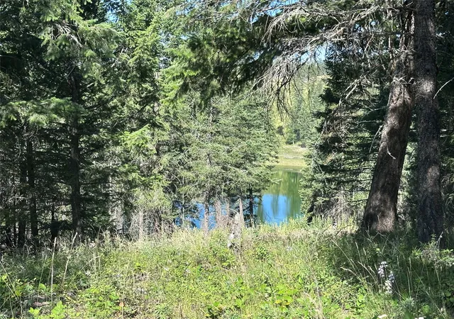 3rd image of 196 Belterra Ln, Bigfork, MT 59911 | MLS# 30074786
