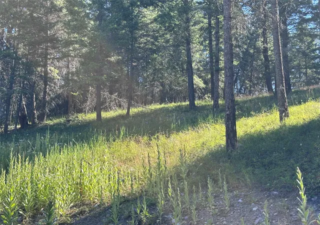 5th image of 196 Belterra Ln, Bigfork, MT 59911 | MLS# 30074786