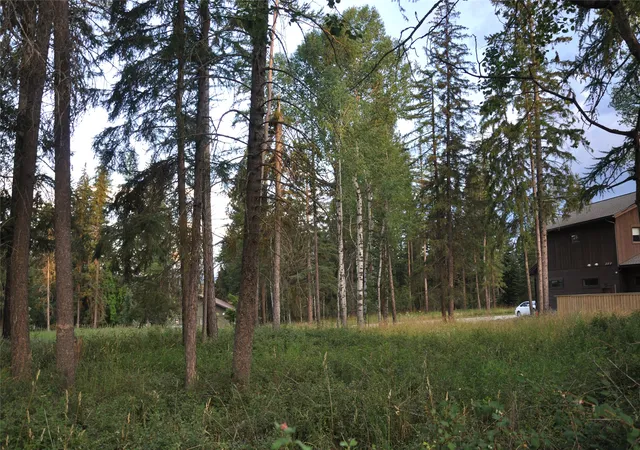 Homes for sale in Whitefish, MT | 181 Mountain Brook Ln, Whitefish, MT 59937 | MLS# 30075130