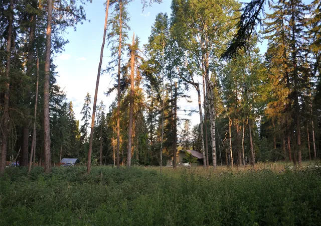 Homes for sale in Whitefish, MT | 181 Mountain Brook Ln, Whitefish, MT 59937 | MLS# 30075130