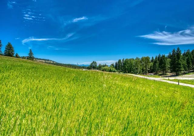 Homes for sale in Kalispell, MT | Nhn Raven Hill Rd, Kalispell, MT 59901 | MLS# 30074897