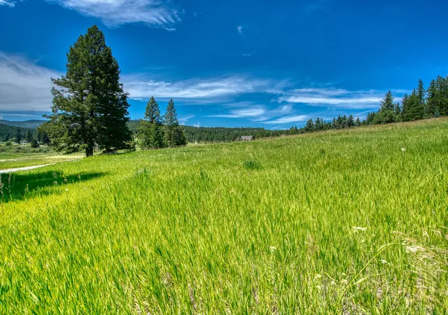 Homes for sale in Kalispell, MT | Nhn Raven Hill Rd, Kalispell, MT 59901 | MLS# 30074897