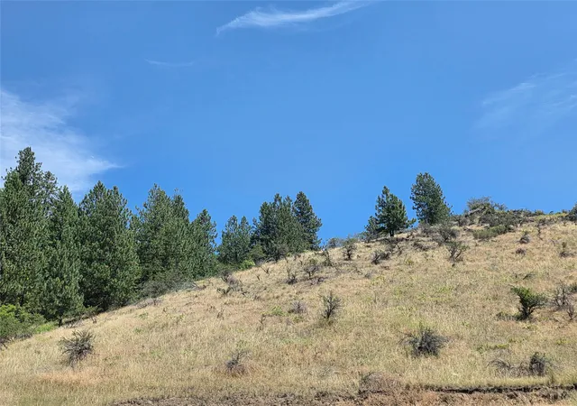 Homes for sale in Plains, MT | Lot 2 Railroad Ave, Plains, MT 59859 | MLS# 30075167