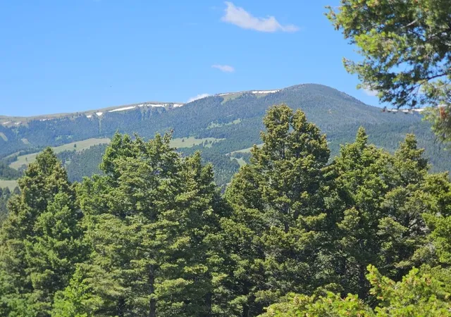 Photo 3 of Land for sale at Banner Clancy Crk Rd, Clancy, MT 59634 | MLS# 30075189 | Listing updated on 2026-07-31