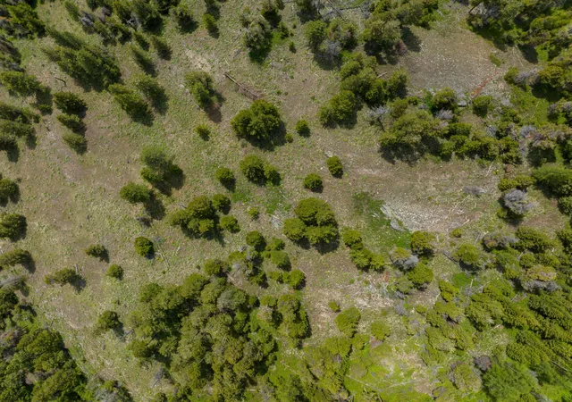 14th image of Nhn Copper Rd, Kalispell, MT 59901 | MLS# 30075209