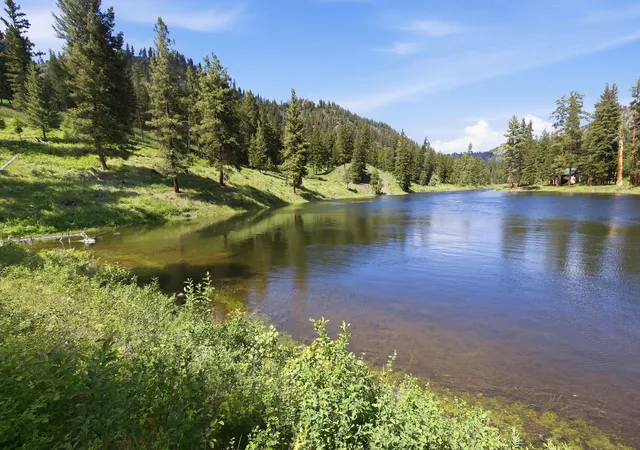 4th image of 3 Big Waters Ranch Rd, Seeley Lake, MT 59868 | MLS# 30075283