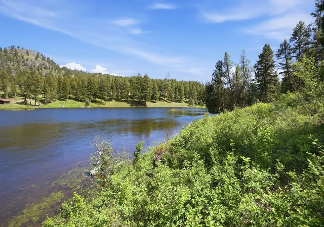 5th image of 3 Big Waters Ranch Rd, Seeley Lake, MT 59868 | MLS# 30075283