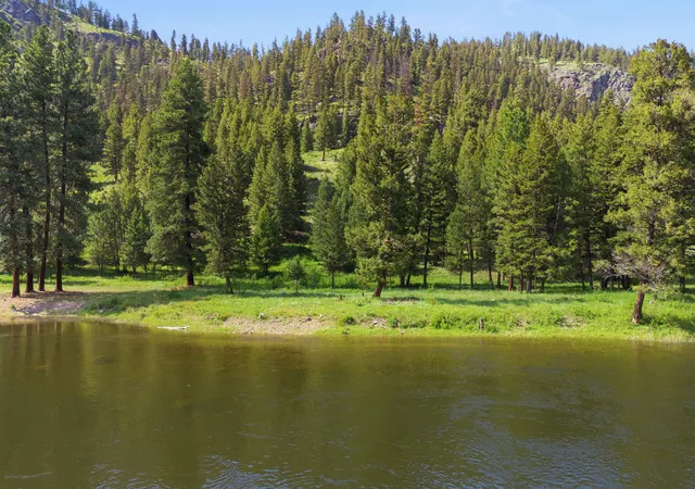 4th image of 2 Big Waters Ranch, Seeley Lake, MT 59868 | MLS# 30075290