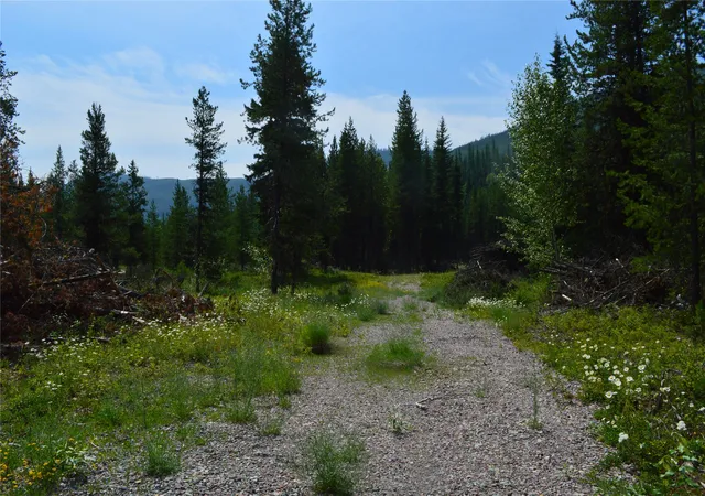 2nd image of 8990 North Fork Rd, Polebridge, MT 59928 | MLS# 30075258