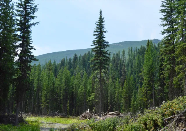 3rd image of 8990 North Fork Rd, Polebridge, MT 59928 | MLS# 30075258