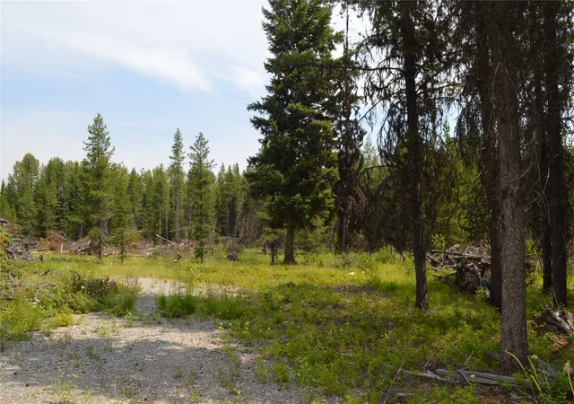 4th image of 8990 North Fork Rd, Polebridge, MT 59928 | MLS# 30075258