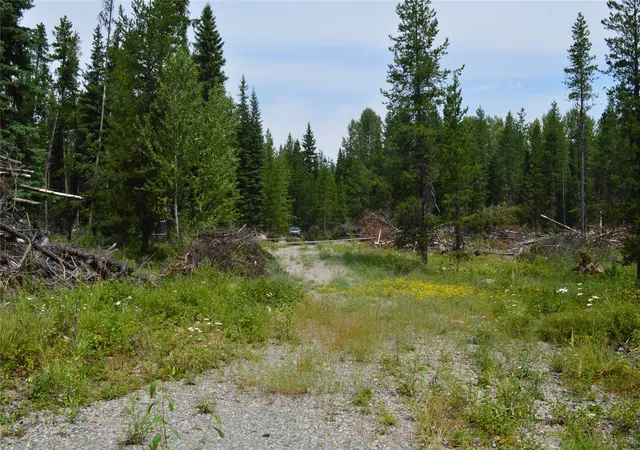 5th image of 8990 North Fork Rd, Polebridge, MT 59928 | MLS# 30075258