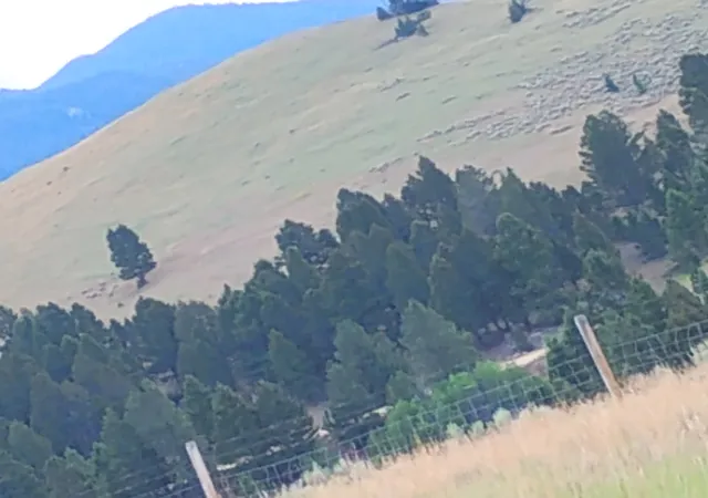 Photo 2 of Land for sale at Lot 113 Aspen Valley Ranches Subdivision, Boulder, MT 59632 | MLS# 30075318 | Listing updated on 2026-07-22