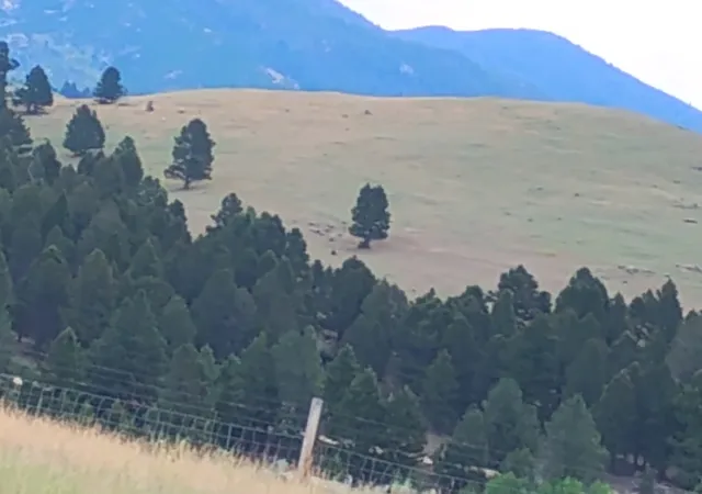 Photo 4 of Land for sale at Lot 113 Aspen Valley Ranches Subdivision, Boulder, MT 59632 | MLS# 30075318 | Listing updated on 2026-07-22