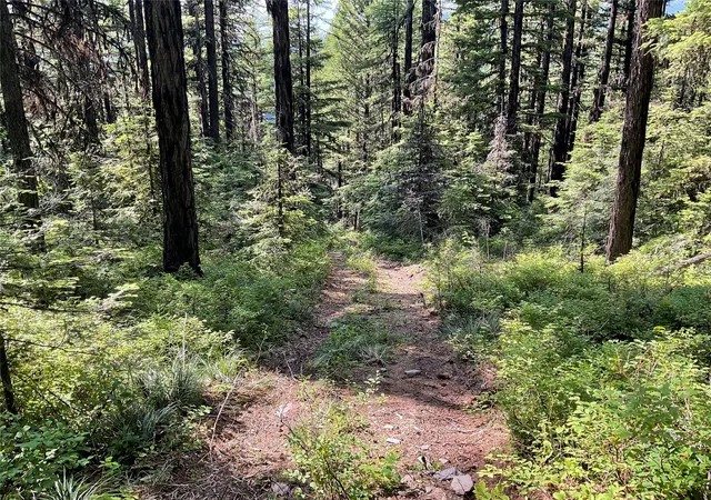 Photo 3 of Land for sale at Nhn Clark Hinchwood Rd, Hot Springs, MT 59845 | MLS# 30075271 | Listing updated on 2026-07-23