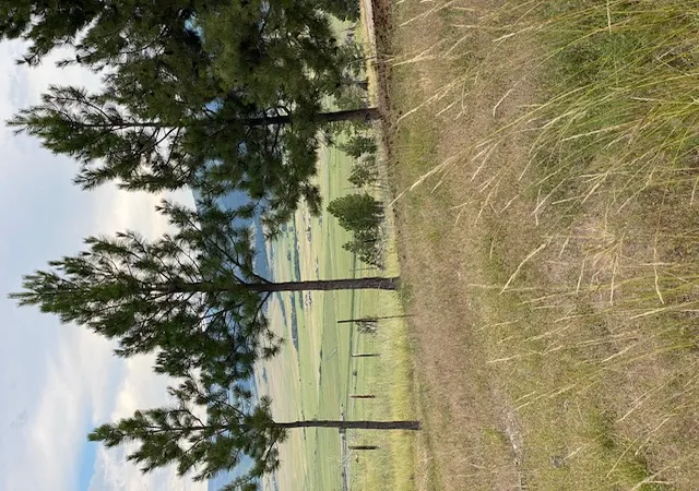 Photo 4 of Land for sale at (Undisclosed), East Helena, MT 59635 | MLS# 30075365 | Listing updated on 2026-07-28