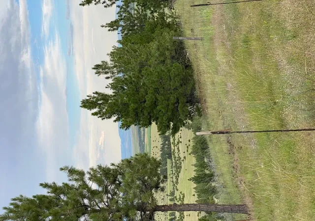 Photo 5 of Land for sale at (Undisclosed), East Helena, MT 59635 | MLS# 30075365 | Listing updated on 2026-07-28