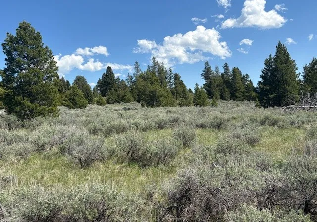 10th image of Nhn Mt Hwy 279, Lincoln, MT 59639 | MLS# 30075262