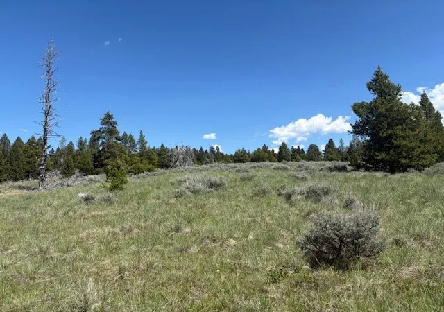2nd image of Nhn Mt Hwy 279, Lincoln, MT 59639 | MLS# 30075262