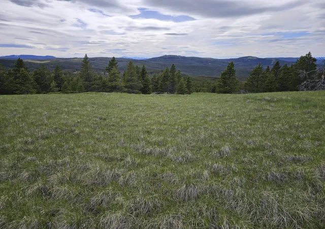 20th image of Climax Bullion Parks Rd, Elliston, MT 59728 | MLS# 30075546