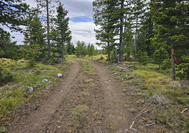 4th image of Climax Bullion Parks Rd, Elliston, MT 59728 | MLS# 30075546