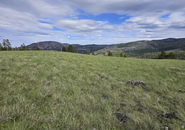 5th image of Climax Bullion Parks Rd, Elliston, MT 59728 | MLS# 30075546