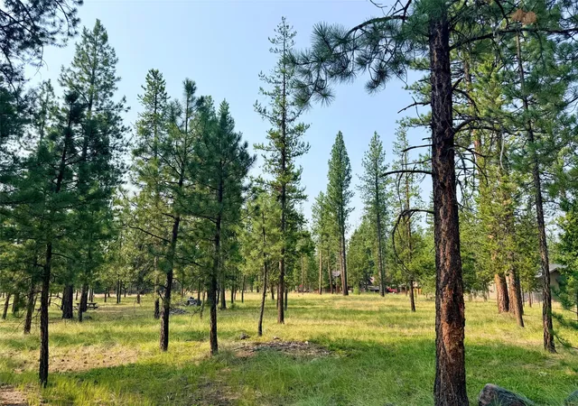 1st image of 723 Timberlane, Seeley Lake, MT 59868 | MLS# 30075555