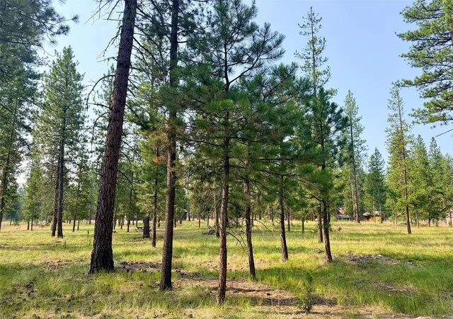 3rd image of 723 Timberlane, Seeley Lake, MT 59868 | MLS# 30075555