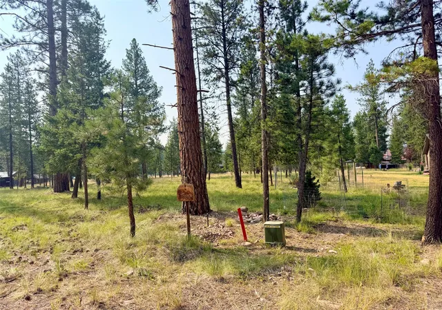 4th image of 723 Timberlane, Seeley Lake, MT 59868 | MLS# 30075555